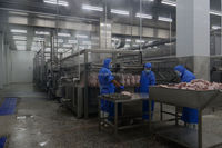 Machine à rôtir le poulet industrielle automatique Mingshun à haute productivité et multi-chauffage, capacité de 180 à 680 pièces/heure