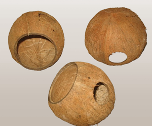 Producto para terrario Coconut Three Quarter Shell Hideout para reptiles y anfibios Diseñado para soportar altos niveles de humedad - Product Image 1