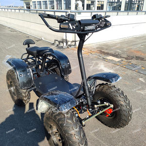 Scooter électrique <span class=keywords><strong>tout</strong></span>-<span class=keywords><strong>terrain</strong></span> robuste à 4 roues pour adultes, scooter électrique <span class=keywords><strong>tout</strong></span>-<span class=keywords><strong>terrain</strong></span> à 4 roues pour usage extérieur, véhicule utilitaire - Product Image 5