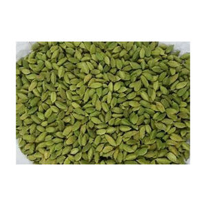 Vainas de cardamomo verde al por mayor en stock, la mejor opción para restaurantes y minoristas - Product Image 4