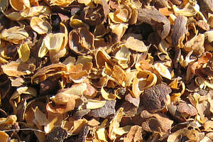 Precio barato cáscara de café/Vietnam de café de cáscara (+ 84398885178, Sra. Jenny Doan) - Product Image 5