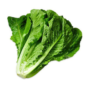 Meilleures ventes Laitues Légumes Feuille Tige Graines Salades Soupes Sandwiches Wraps Grillades Grossistes Fournisseurs en vrac - Product Image 3