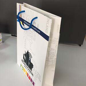 Bolsas de Regalo de Papel de Lujo Ecológicas y Reciclables al por Mayor con Asas de Cordón, Impresión Offset para Productos del Hogar - Product Image 1