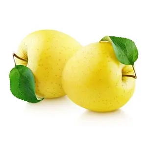 تفاح أصفر لذيذ تفاح ذهبي لذيذ عالي الجودة بسعر رخيص من المُصنع والمورِّد من ألمانيا للبيع بالجملة