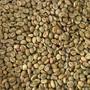 [Precio al por Mayor] Granos de Café Verde Robusta Estándar S16 Nueva Cosecha 25-26 Empaque a Granel 60 kg/bolsa de yute Origen Gia Lai Vietnam - Product Image 5