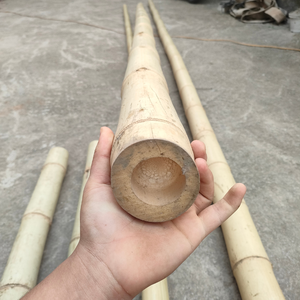 เสาไม้ไผ่ Moso สำหรับสวนวัตถุดิบที่มีรายละเอียดสาขาสำหรับโครงการภูมิทัศน์ที่เป็นมิตรกับสิ่งแวดล้อม - Product Image 5