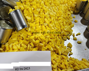 Trozos de Piña, Fruta Enlatada, Piña Fresca Enlatada de Vietnam/ Sr. Leo +84 965 467 267 - Product Image 5