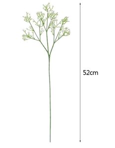 Flash Sale Vintage Artificial <b>Gypsophila</b> Bouquet Preserved Babys Breath Flowers White Color <b>Dried</b> Flowers Baby Breathe Stems - Product Image 4