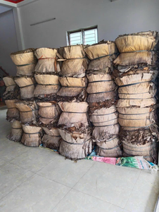 Vente en gros au Vietnam de feuilles de bananier séchées longue durée de conservation et facile à manipuler - Product Image 5