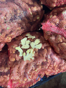Jengibre Fresco de Vietnam, Exportador Agrícola de Confianza que Ofrece Entrega de Contenedores a Granel para Compradores Extranjeros - Product Image 4