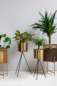Gold planter with matching metal <b>stand</b> designed for high end home interiors and upscale decorating themes - Product Image 5