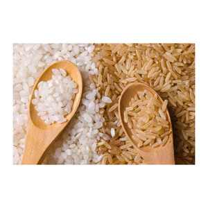 Arroz tailandés prehervido para empresas de procesamiento y envasado de alimentos - Product Image 5