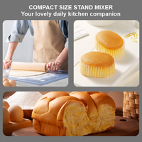 Batidora de pie con diseño de cabezal inclinable para uso comercial/doméstico con batidor de gancho de masa-OEM/ODM compatible con 1 año de garantía