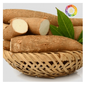 Mandioca fresca congelada pelada de granja a congelador calidad premium - Product Image 1