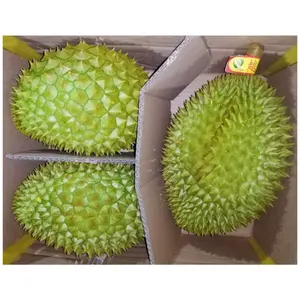 Durian Plantation Frozen Fruit Tropical Fruit High Quality at Competitive Price Wholesales For Export