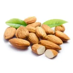 China Top Grade Organic Raw Bulk Sale Almond Nut Suppliers