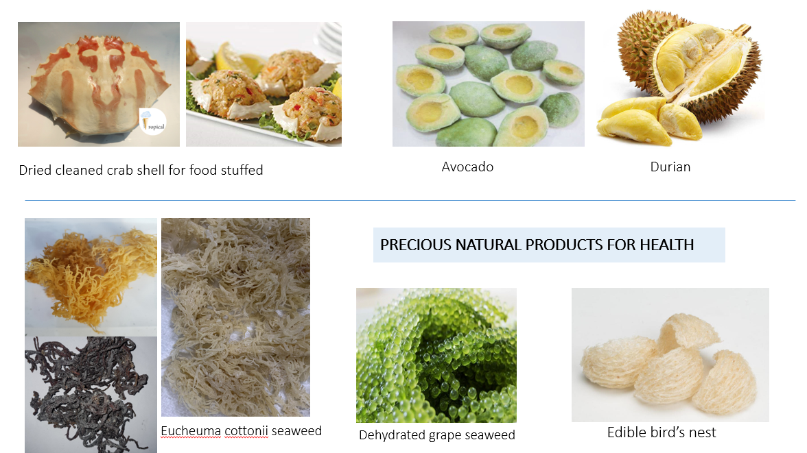 FROZEN DURIAN WHOLE PIECE RI6 FROM VIETNAM