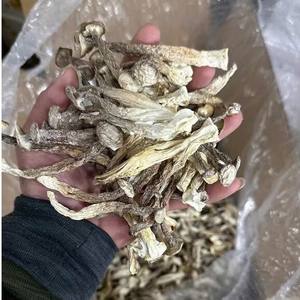 Vietnam séché bois de cerf champignon 450g 12oz vente en gros corne de cerf champignon exportateur - Product Image 1