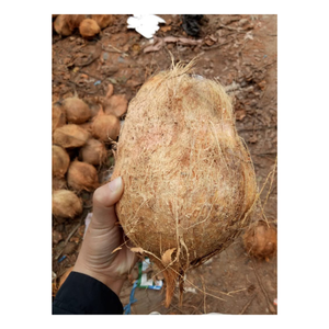 Noix de coco semi décortiquée à haute humidité offerte en vrac avec un délai d'exécution rapide pour les commandes internationales dans l'hôtellerie - Product Image 1