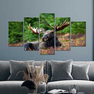 Art mural moderne en verre trempé Moose : décoration sur toile imprimée, ensemble de 5 toiles Mx - Product Image 1