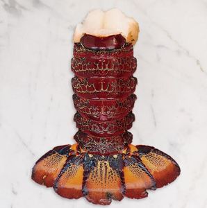 Langostas Congeladas de Nueva Zelanda de Alta Calidad, Producto de Mariscos Frescos Enteros para Exportación Internacional y Suministro a Granel - Product Image 3