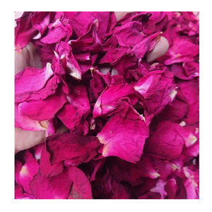 Brotes de Rosa secos Premium Flores de Rosa secas de alta calidad para té Infusión de hierbas Bebidas naturales y uso de bebidas - Product Image 5