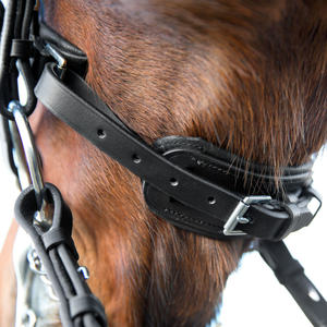 กีบตะเข็บแฟนซีทางกายวิภาค - กีบ Bitless สีน้ําตาลเข้มผู้ผลิตขายส่งม้าแข่ง - Product Image 5