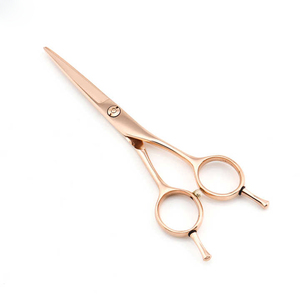 Ciseaux de coiffeur professionnels Ciseaux droits de salon de coupe de cheveux d'acier inoxydable - Product Image 1