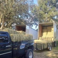 Foin de qualité supérieure, de qualité alimentaire, 100% naturel, riche en protéines, cubes de luzerne et de luzerne de Gascogne pour chevaux, bovins, porcs, poissons, chiens, 25 kg/sac, 2 ans