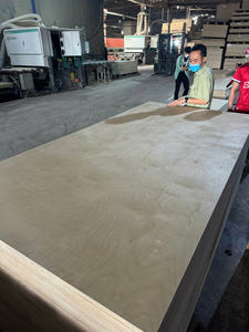 Contrachapado Comercial de Abedul de 18 mm, Contrachapado de Abedul de Primera Clase E1 con Núcleo de Abedul para Muebles y Gabinetes - Product Image 3