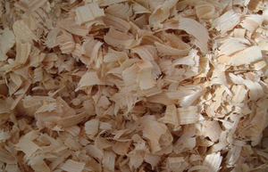 Fournisseur du Vietnam pas cher 100% copeaux de bois, sciure de bois à vendre copeaux de bois pour l'exportation - Product Image 4