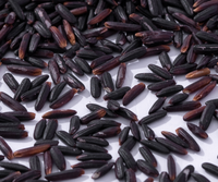 Riz noir à grain long sain du Viet Nam, 100% naturel I marque privée, emballage sous vide-Mme Mai Vilaconic