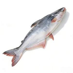 Filetes de Pescado Pangasius Congelados, Filetes de Pescado Basa al por Mayor, Filetes de Pangasius, Filetes de Basa - Product Image 5