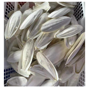 <b>Cuttlefish</b> Bone For Pets And Crafts: Explore The Versatility Of <b>Cuttlefish</b> Bone As A Natural Calcium Boost And Eco-Friendly - Product Image 6