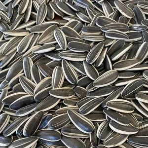 ซื้อเมล็ดทานตะวันพรีเมี่ยมแหล่งวิตามินไฟเบอร์และโปรตีนเพื่อสุขภาพที่ดี - Product Image 1