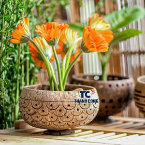 LAS MEJORES VENTAS de cuencos de coco hechos a mano, perfectos para macetas, decoración u opciones de regalo únicas. - Product Image 6