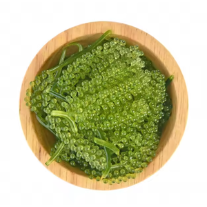 MEILLEURE VENTE EN GROS-RAISINS DE MER DÉSHYDRATÉS/CAVIAR VERT APPROVISIONNEMENT EN VRAC DU VIETNAM - Product Image 3