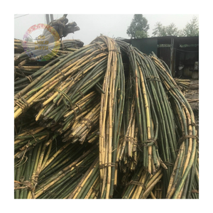 Canne en rotin magnifiquement pliée-une œuvre d'art fonctionnelle au charme rustique - Product Image 1