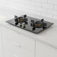 Table de cuisson à gaz encastrable 2 brûleurs avec surface en verre trempé, économie d'énergie, contrôle par minuterie, protection anti-extinction de flamme pour usage domestique et hôtelier