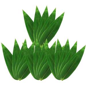 ใบไผ่บริสุทธิ์เป็นมิตรกับสิ่งแวดล้อมสำหรับห่อและทำอาหาร - Product Image 1