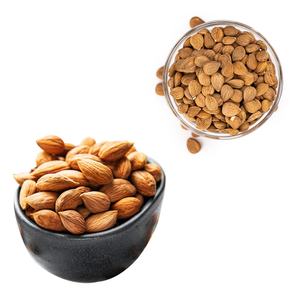 เมล็ดแอปริคอท | หุ้นจำนวนมากสำหรับหน่วยน้ำมันเชิงพาณิชย์ - Product Image 4