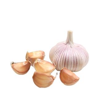 Ajo natural orgánico fresco de alta calidad/ajo fresco de nueva cosecha a la venta al mejor precio - Product Image 3