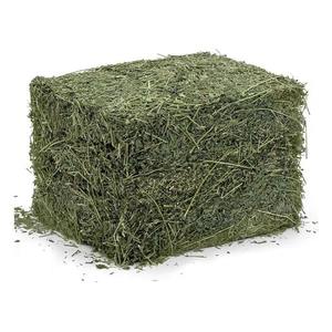 Alimento de heno de alfalfa de calidad, perfecto para la alimentación de los animales, Compre Ahora heno de alta nutrición, heno de tendencia superior en stock - Product Image 3