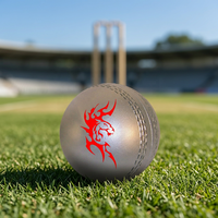Cricket Bola Keras Bat/Kulit Berkualitas Cricket Ball/Cricket Kulit Kelelawar dan Bola