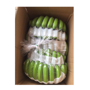 กล้วยคาเวนดิชสด ผลพรีเมียม รูปลักษณ์สม่ำเสมอ คุณภาพคงที่ พร้อมบริการจัดส่งระดับมืออาชีพ - Product Image 1