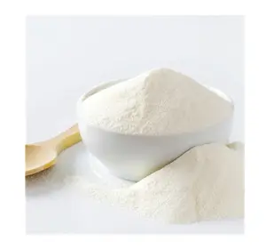100% organic Coconut Milk Powder - Creamy and Delicious
