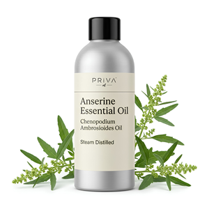 Aceite Esencial de Anserina Orgánico a Granel, Chenopodium Ambrosioides, Destilado al Vapor, Ecocert, Marruecos, Venta al por Mayor, Grado Cosmético Calmante - Product Image 1