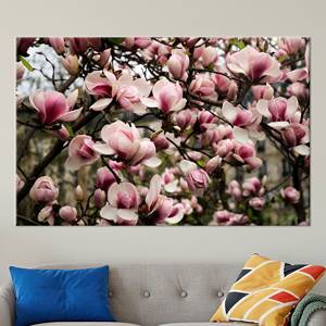 Toile imprimée Magnolia rose : Décoration murale élégante avec fleurs roses, 1P : Prête à accrocher - Product Image 1