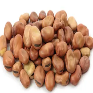 Venta al por mayor de alta calidad Dry Split Fava Beans Broad Beans - Product Image 4