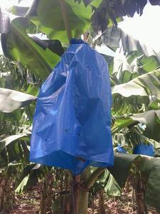 Housse en plastique thermoscellable réutilisable et écologique en PP non tissé pour la protection des fruits (bananes, tomates) dans les jardins d'hiver et l'agriculture - Product Image 6